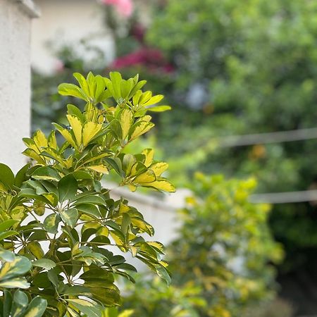 Μονοκατοικία «Maizonette Passaggio G» Volos Buitenkant foto