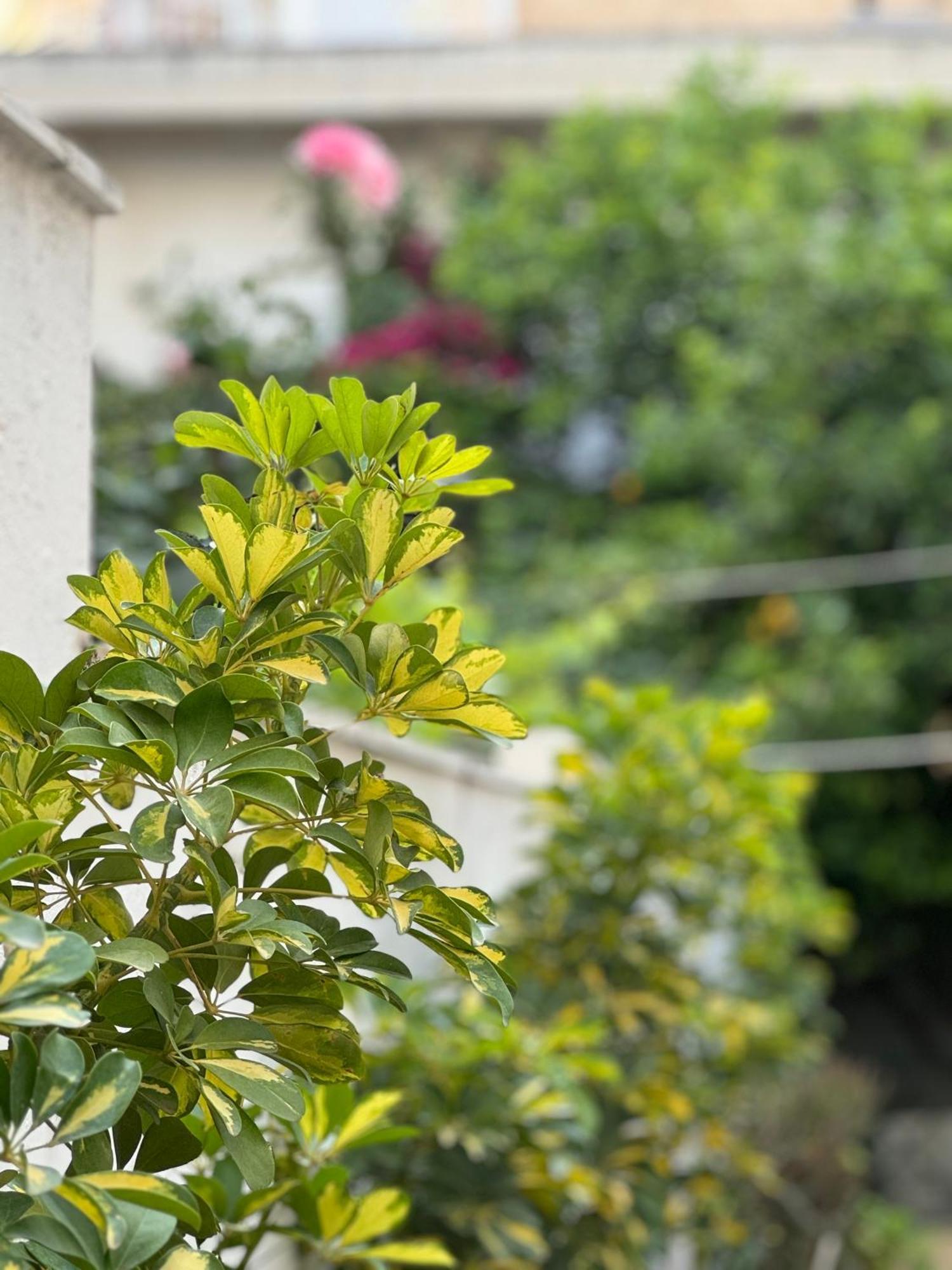 Μονοκατοικία «Maizonette Passaggio G» Volos Buitenkant foto